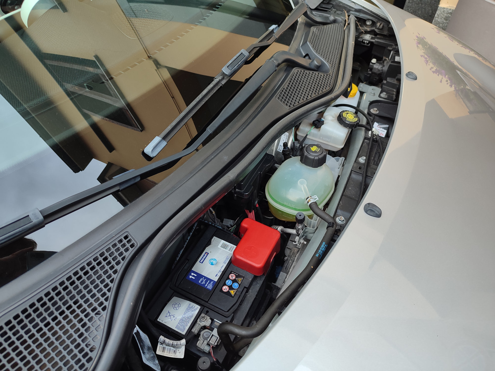 Smart Forfour 1.0 71cv Passion Cabriolet - immagine 9